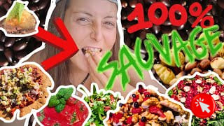 Alimentation 100% sauvage