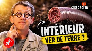 L'anatomie étonnante et le rôle essentiel des vers de terre