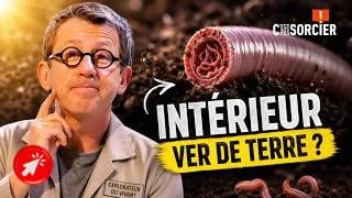 L'anatomie étonnante et le rôle essentiel des vers de terre